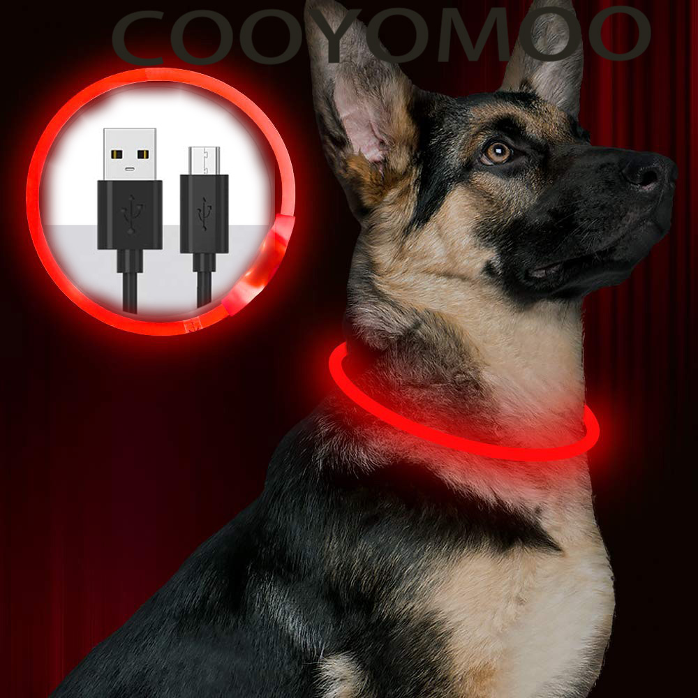 Tech Dog Accessories - シリコン LED 犬用首輪 充電式 4 つの動作モード