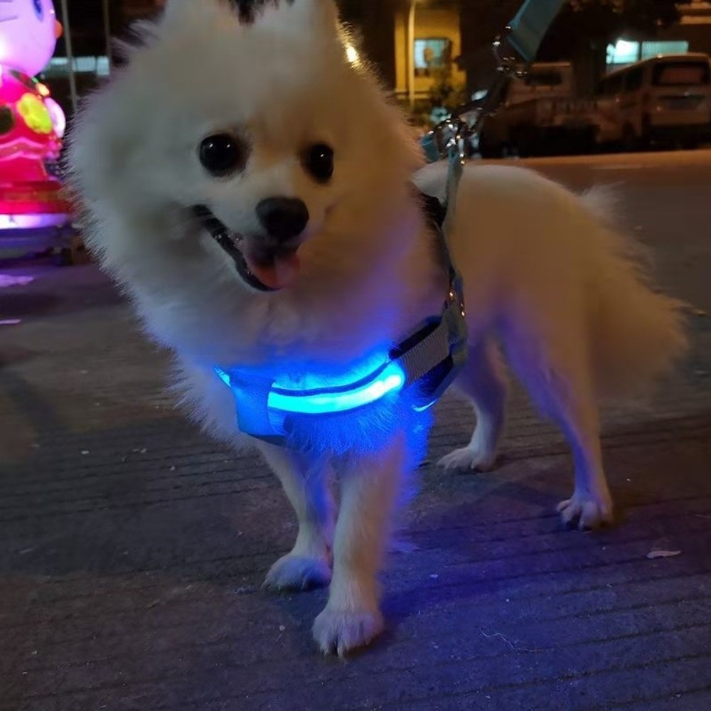 Tech Dog Accessories - 通気性のあるLEDライトアップ犬用ハーネス、充電式点滅発光ペットチェストストラップ、調節可能なソフト犬用光るベスト、ペット安全装備