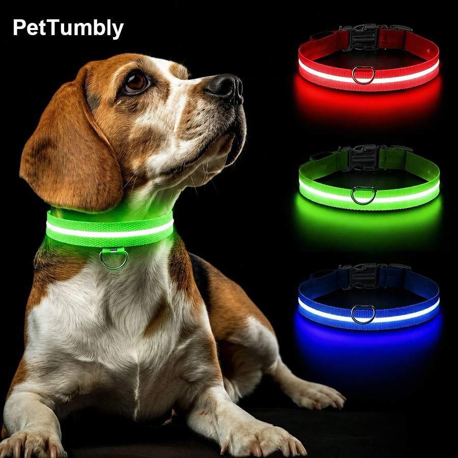 Tech Dog Accessories - 3モード犬用発光充電式首輪LED USB猫犬用首輪取り外し可能夜間LEDグロー犬用紛失防止首輪ペットアクセサリー