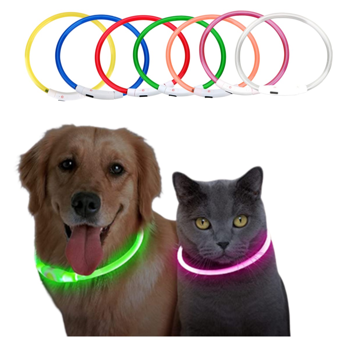 Tech Dog Accessories - Led ライト犬の首輪取り外し可能な光る USB 充電発光リード大きな猫の首輪小型明るいラブラドールペット犬製品