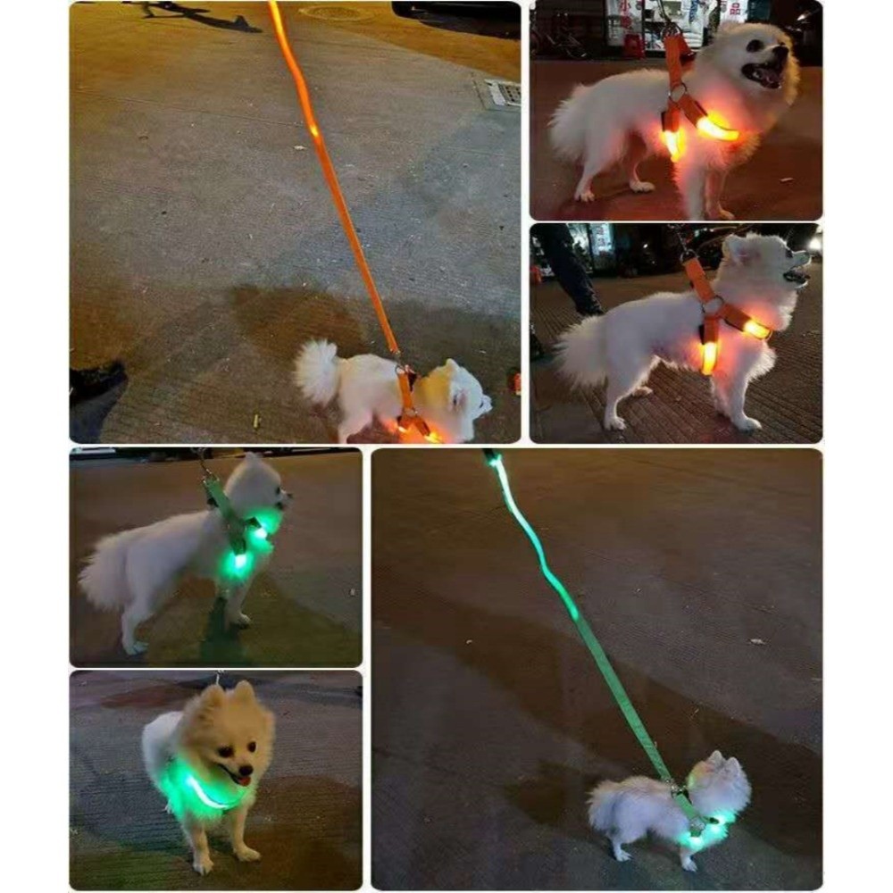 通気性のあるLEDライトアップ犬用ハーネス、充電式点滅発光ペ - Tech Dog Accessories のレビューと価格