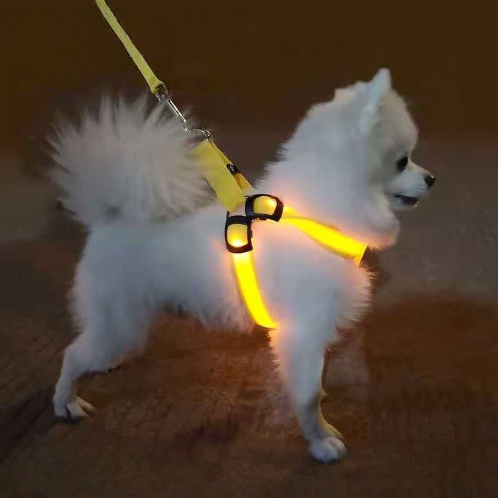 通気性のあるLEDライトアップ犬用ハーネス、充電式点滅発光ペ - Tech Dog Accessories のレビューと価格