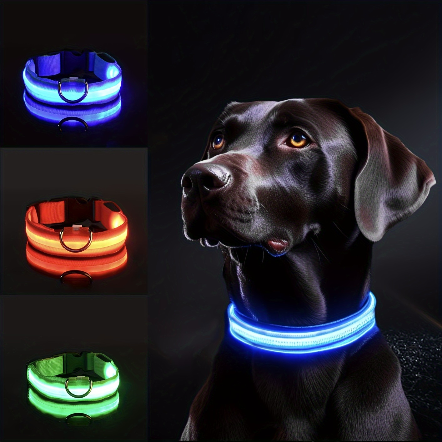 夜間の安全のための反射 LED 犬用首輪 - 耐久性、幾何学 - Tech Dog Accessories のレビューと価格